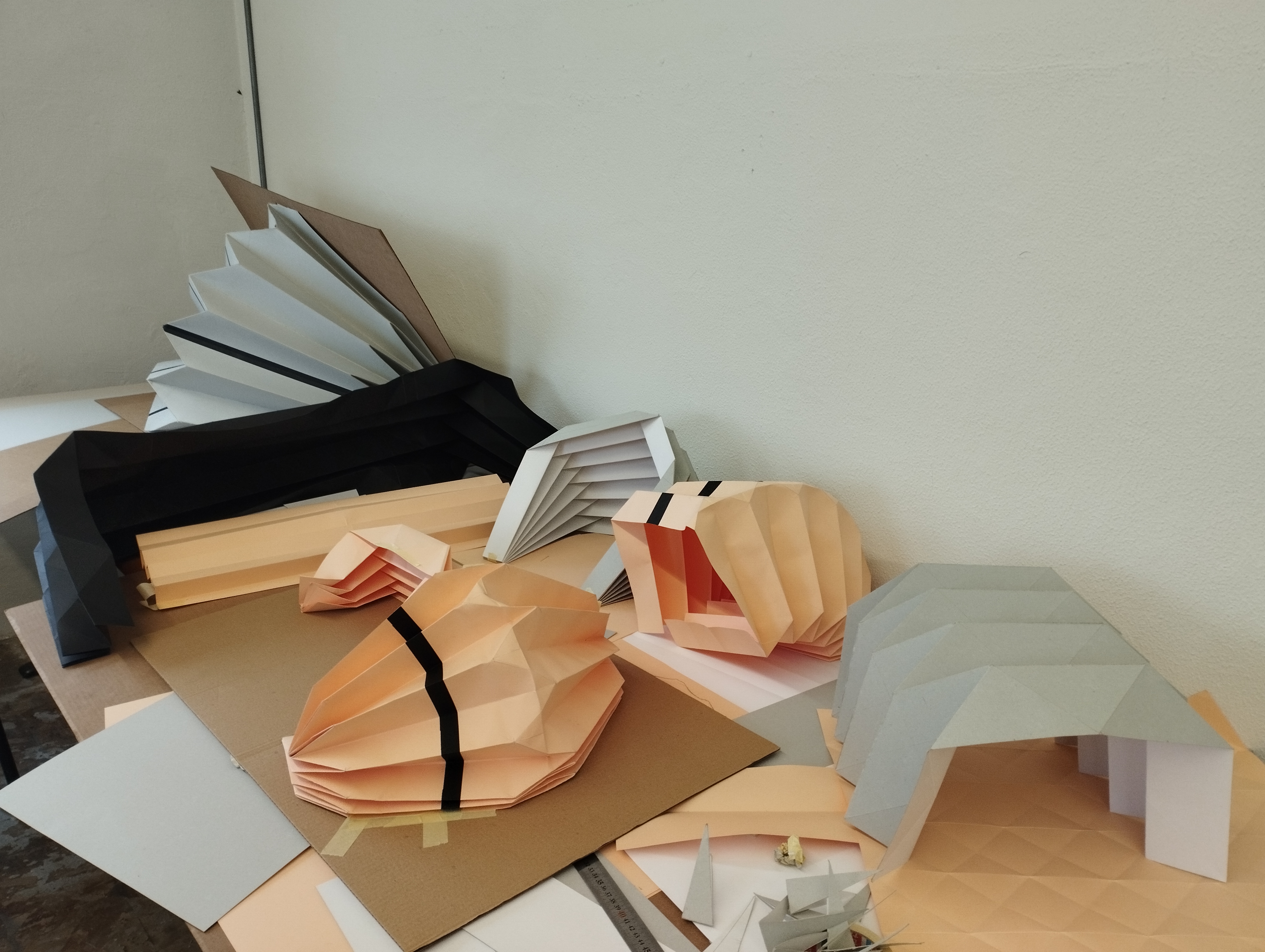 BioImagens: fold model