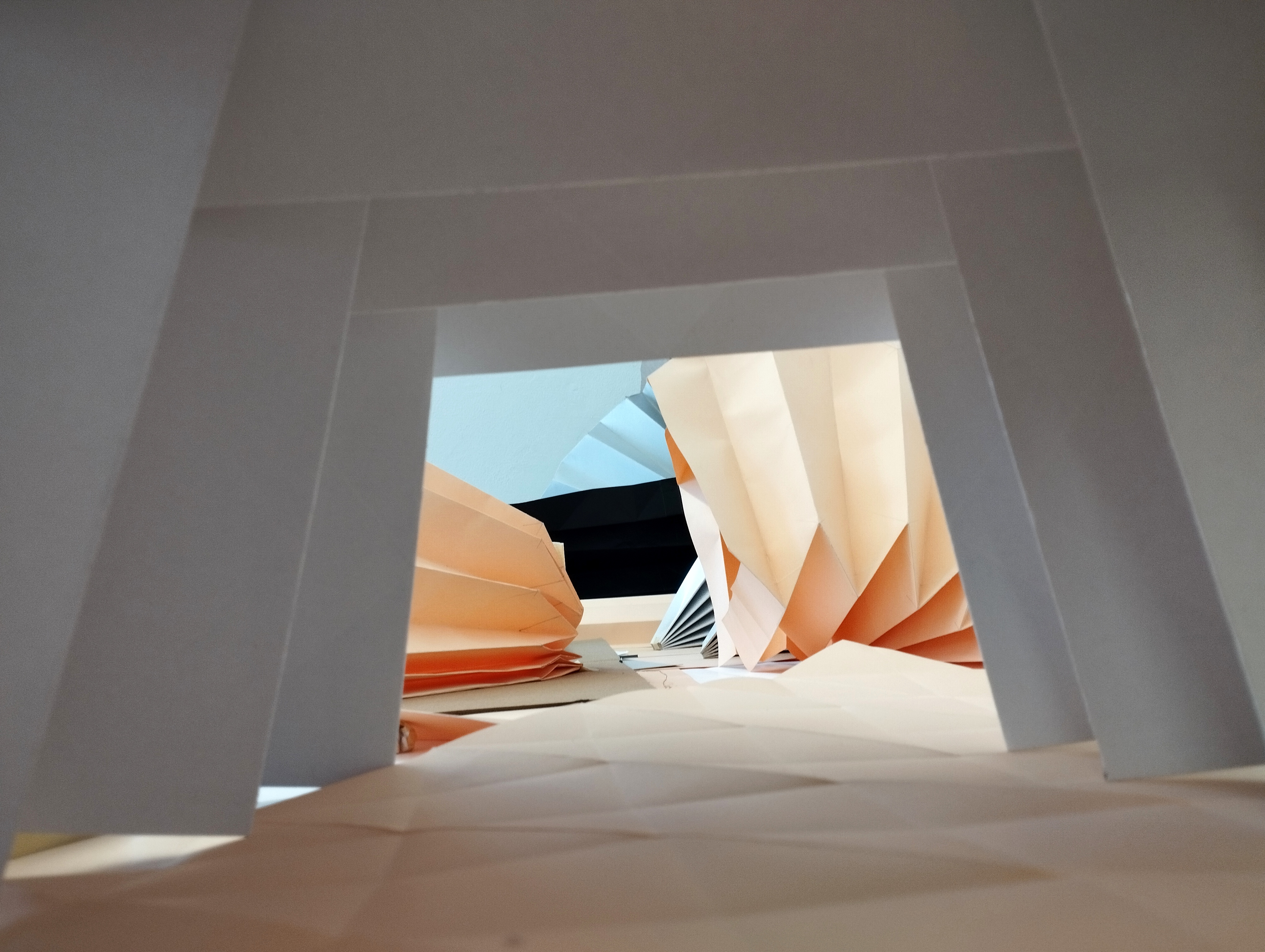 BioImagens: maquettes