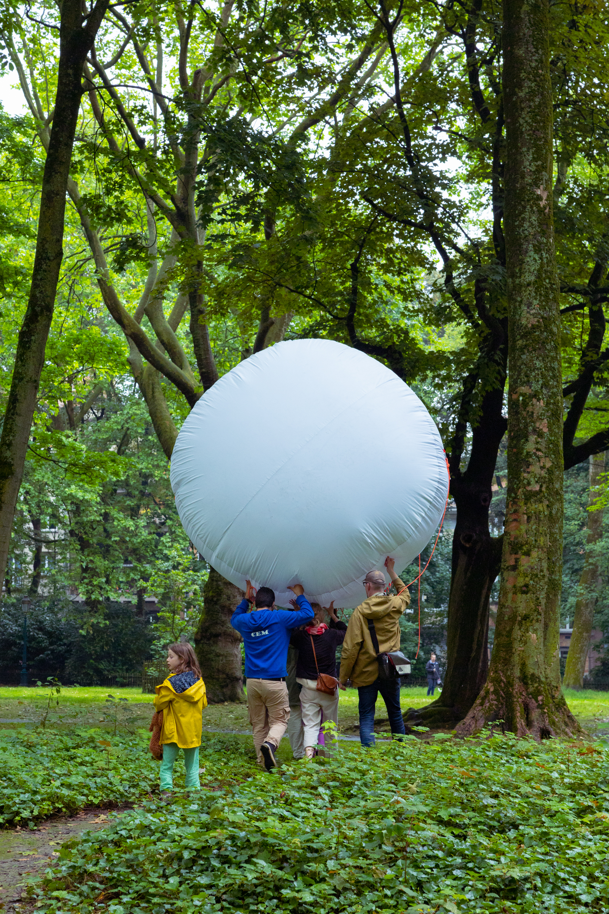 REUS(in): forest ball